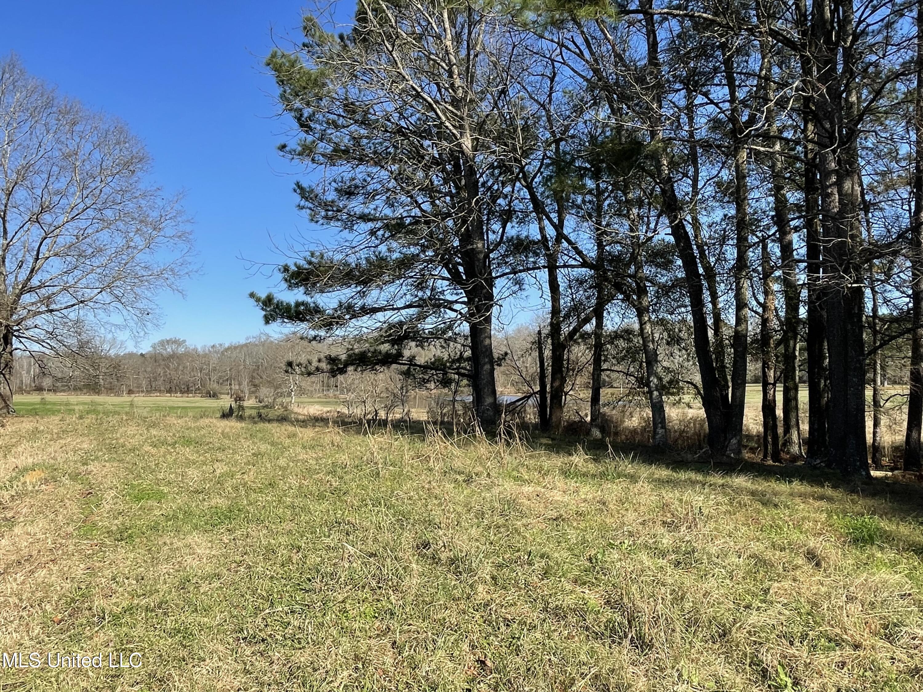 7847 Old Jackson Road Forest, MS 39074 - Photo 41 of 55 IMG_4591