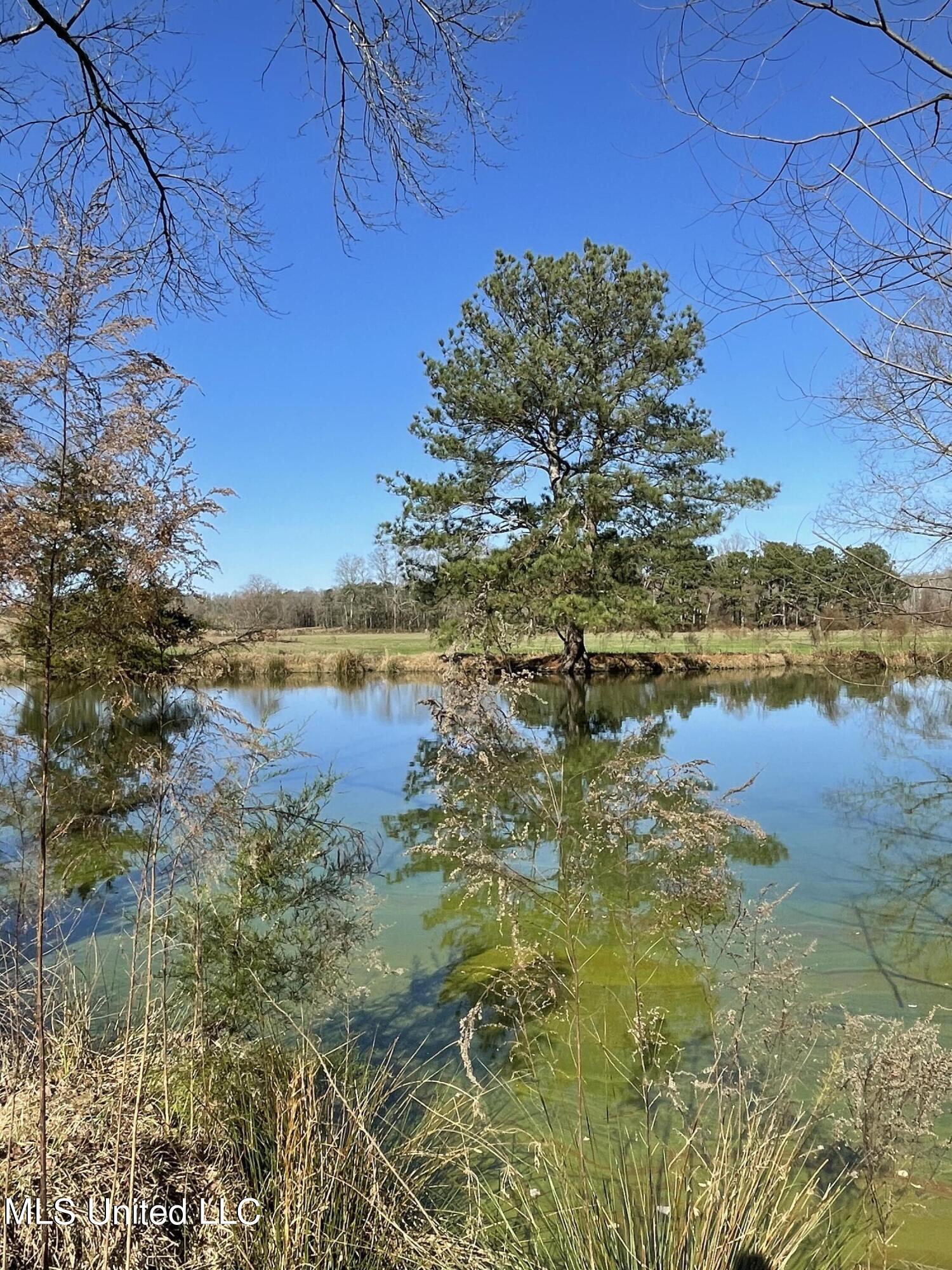 7847 Old Jackson Road Forest, MS 39074 - Photo 42 of 55 IMG_4586