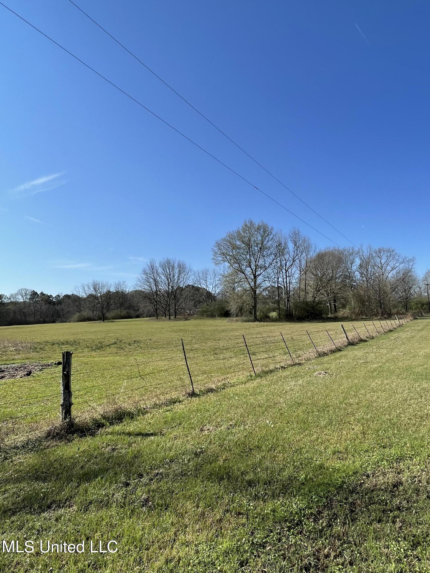 7847 Old Jackson Road Forest, MS 39074 - Photo 44 of 55 IMG_4581