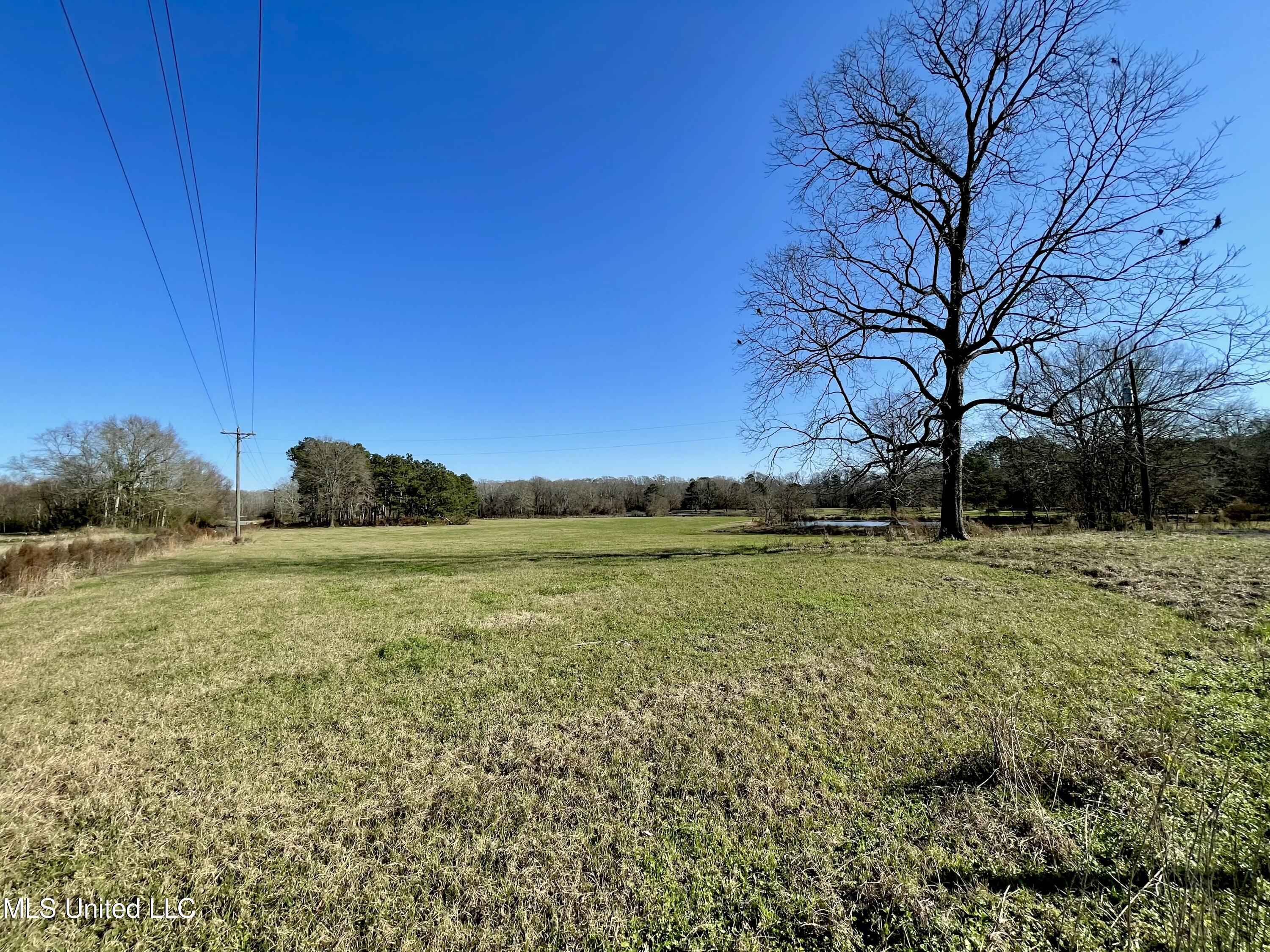7847 Old Jackson Road Forest, MS 39074 - Photo 45 of 55 IMG_E4566