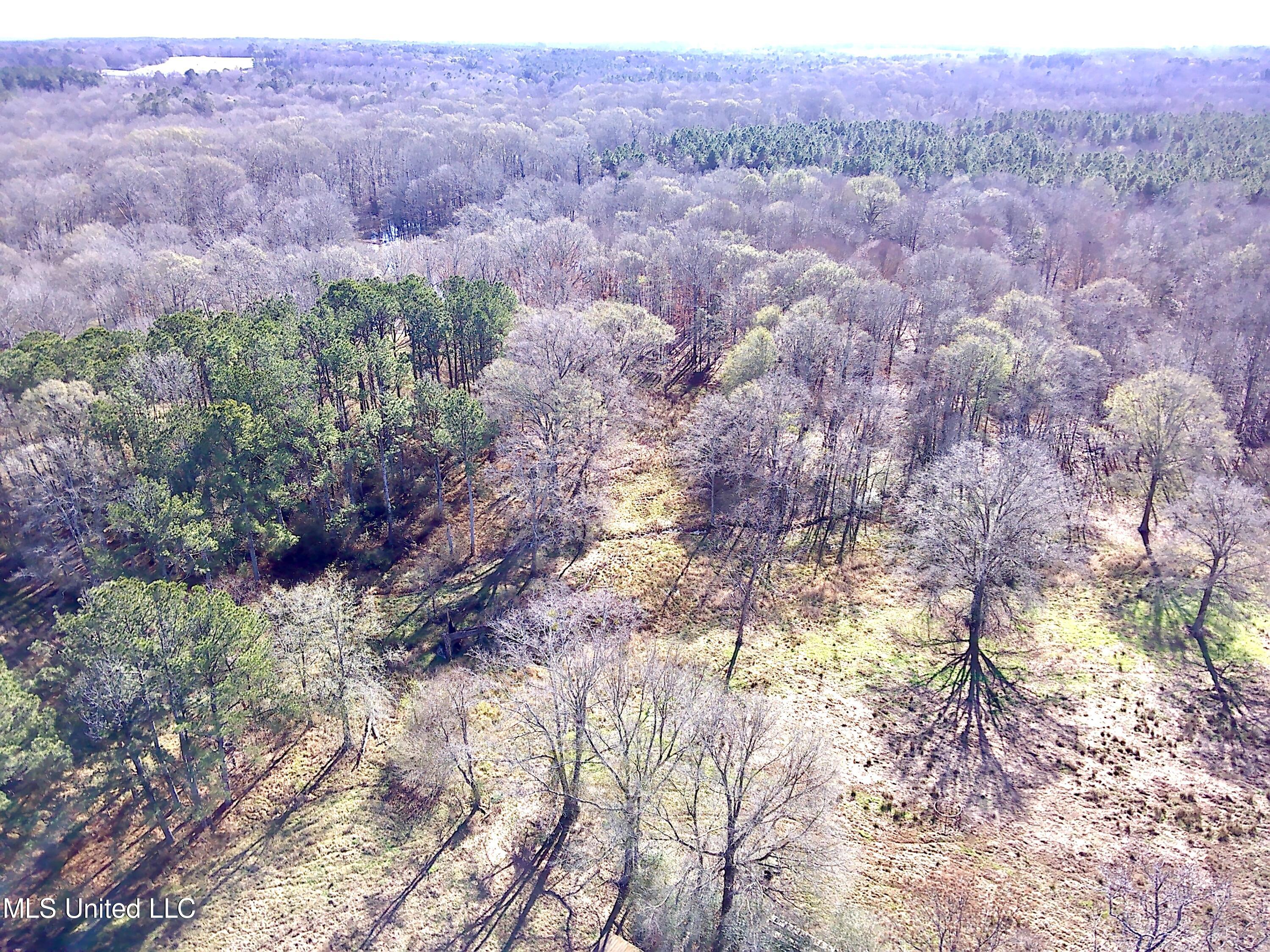 7847 Old Jackson Road Forest, MS 39074 - Photo 46 of 55 IMG_E4451