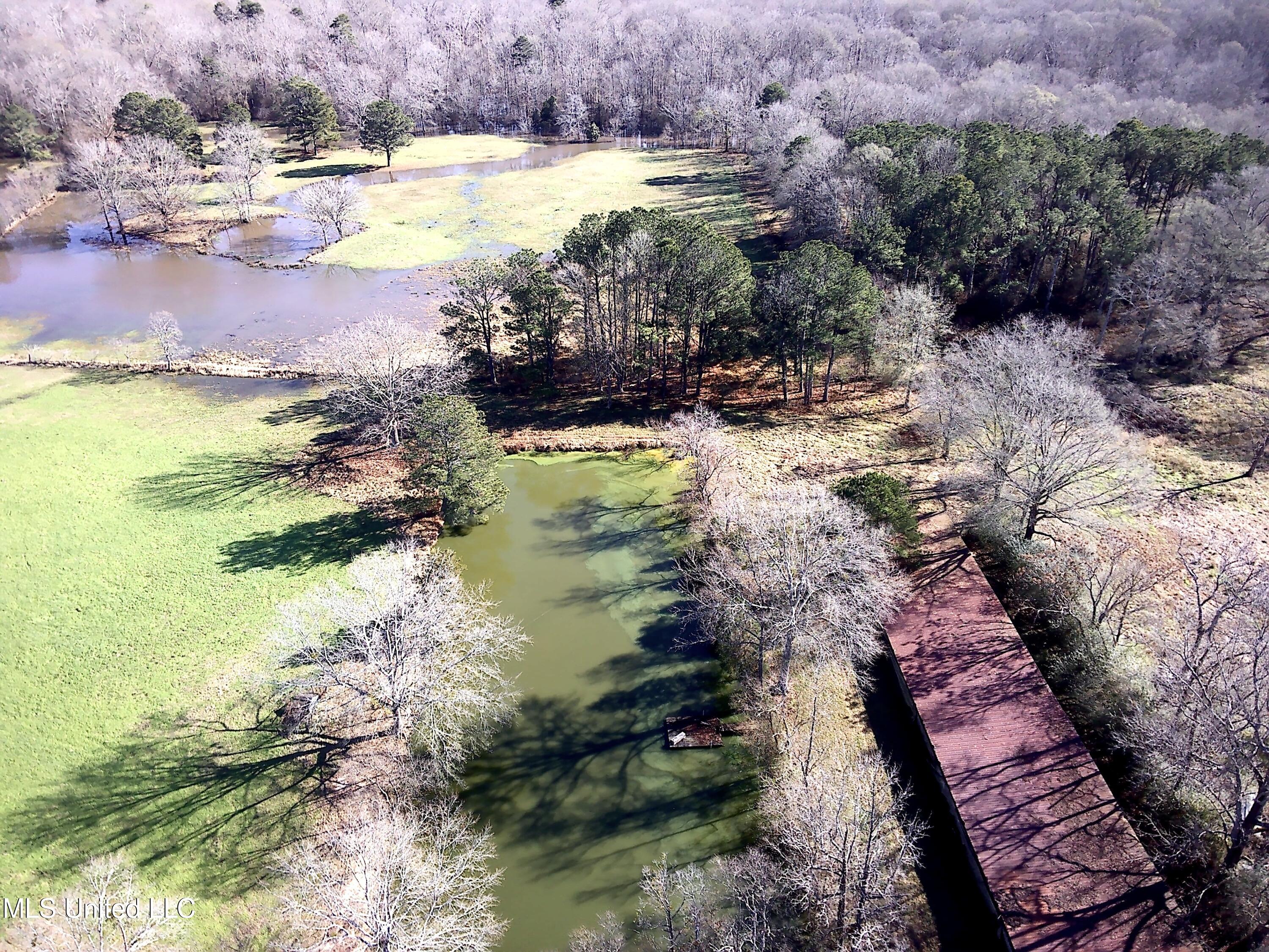 7847 Old Jackson Road Forest, MS 39074 - Photo 50 of 55 IMG_E4444