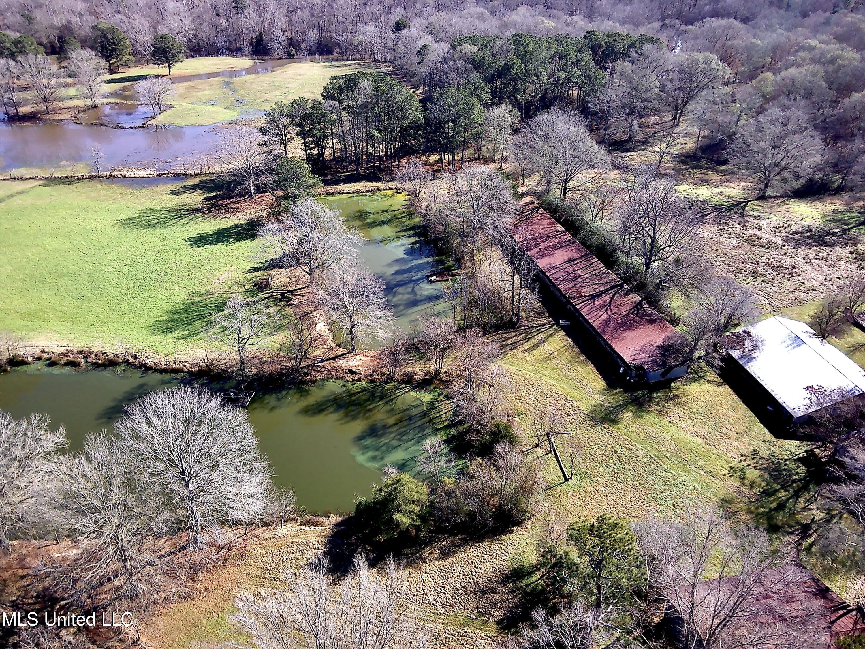7847 Old Jackson Road Forest, MS 39074 - Photo 51 of 55 IMG_E4443