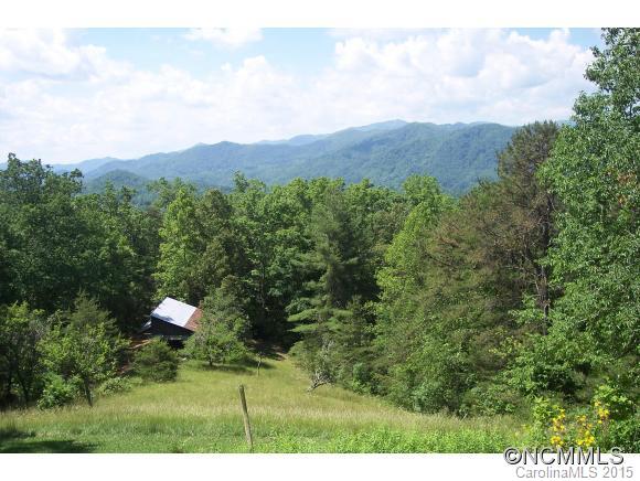 838 Sandy Bottom Road Marshall, NC 28753 - Photo 18 of 23
