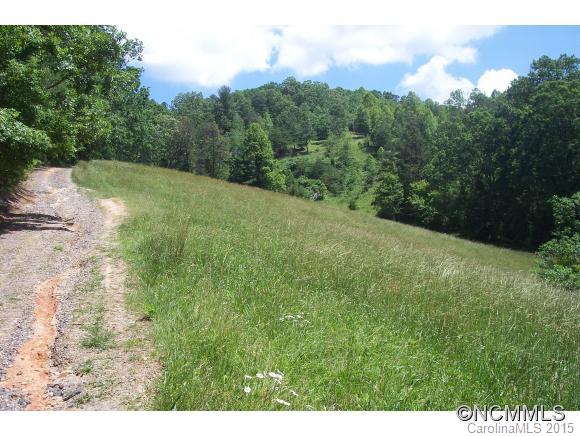 838 Sandy Bottom Road Marshall, NC 28753 - Photo 19 of 23