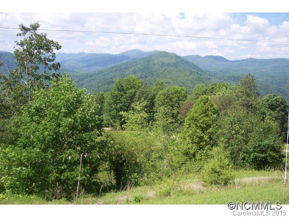 838 Sandy Bottom Road Marshall, NC 28753 - Photo 5 of 23