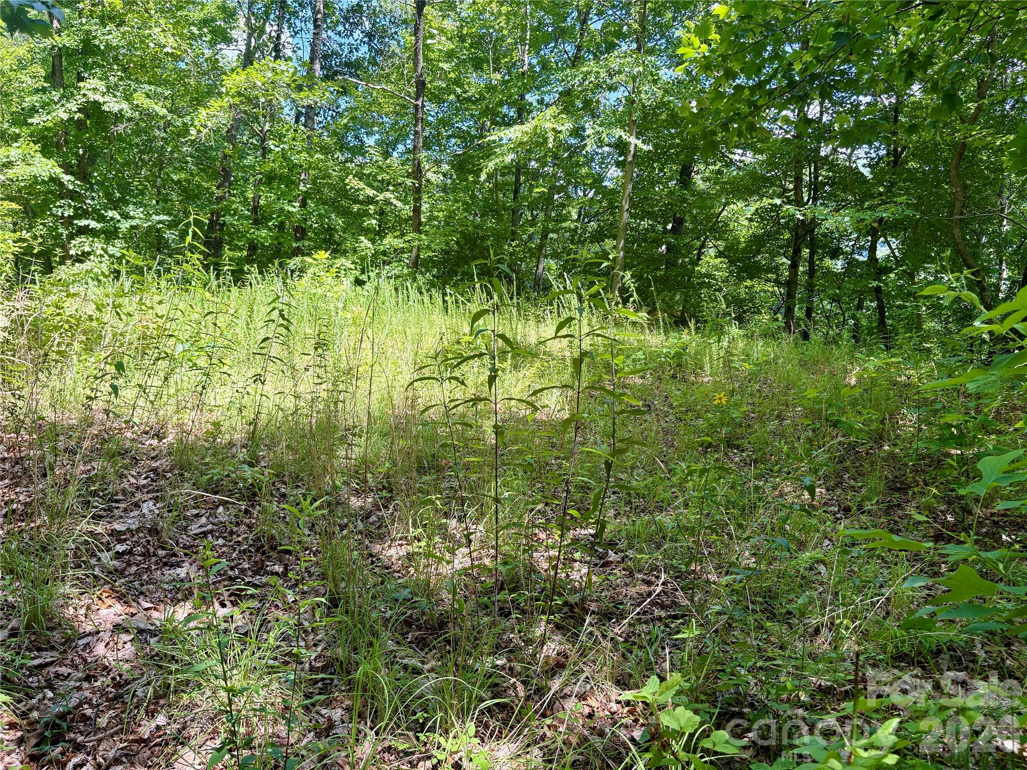 0 Eagles Roost Road, Unit 70 Bryson City, NC 28713 - Photo 5 of 13