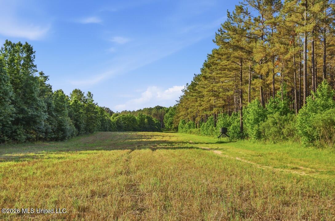425 Rose Hill Road Bentonia, MS 39040 - Photo 66 of 150 127E4CE5-4DF5-4124-9568-1430031DD1FF_1_1