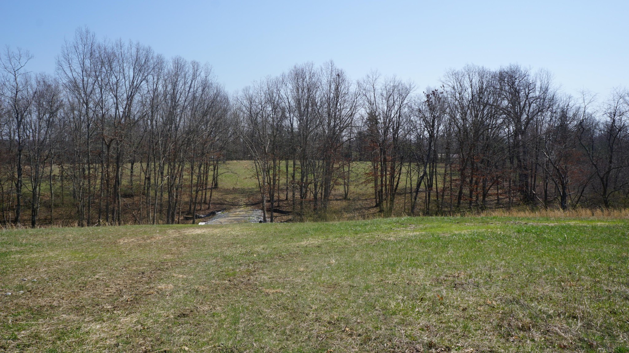 74 Genesis Road Crossville, TN 38555 - Photo 10 of 30 Gallery Image 10