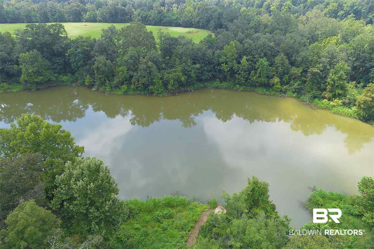 0 Jimmy Phillips Road Greensboro, AL 36744 - Photo 10 of 16