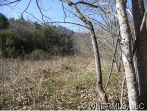 0 Little Pine Road, Unit 1 Marshall, NC 28753 - Photo 4 of 6 Gallery Image 4
