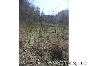 0 Little Pine Road, Unit 1 Marshall, NC 28753 - Photo 6 of 6 Gallery Image 6