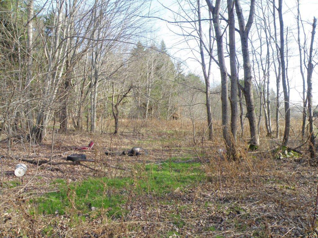 0 Us Route, Unit RT Stockton Springs, ME 04981 - Photo 4 of 18 P1010754