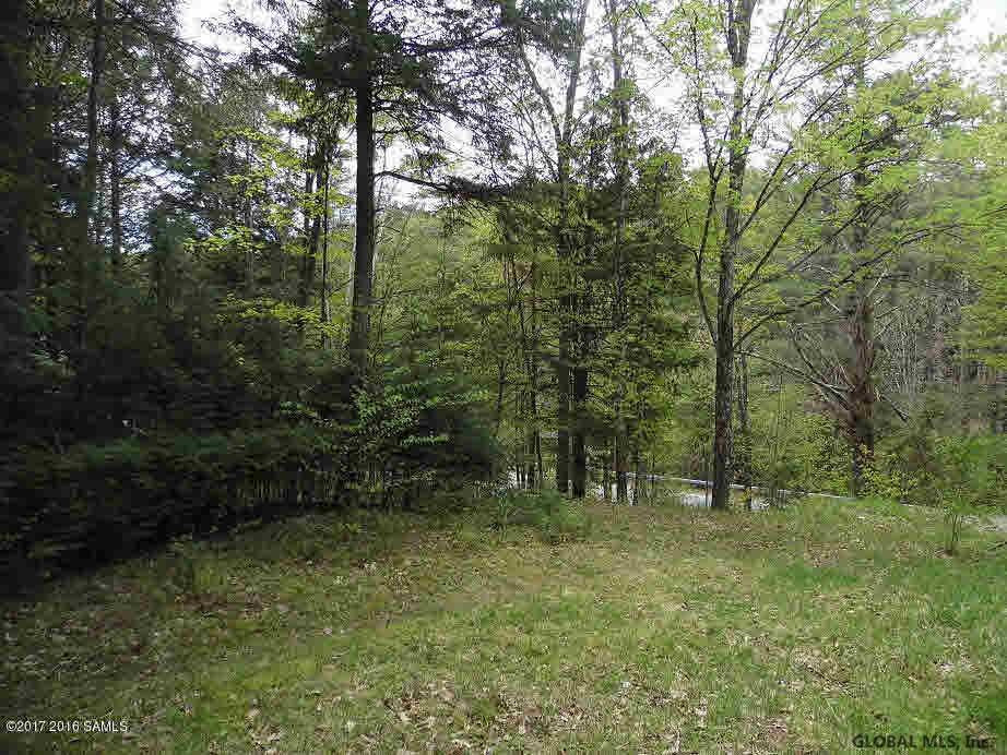 134 Potter Brook Road Warrensburg, NY 12885 - Photo 15 of 26 Photo 15