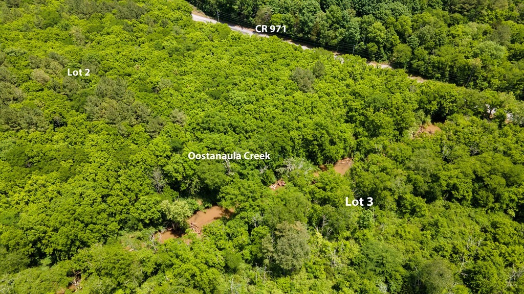 3 State Highway Calhoun, TN 37309 - Photo 2 of 9