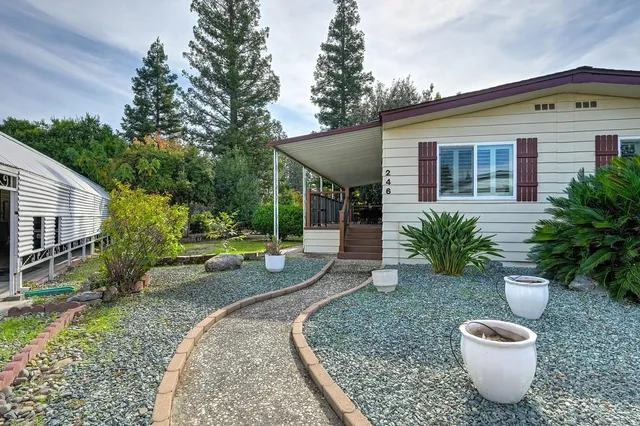 a view of a backyard with plants and patio