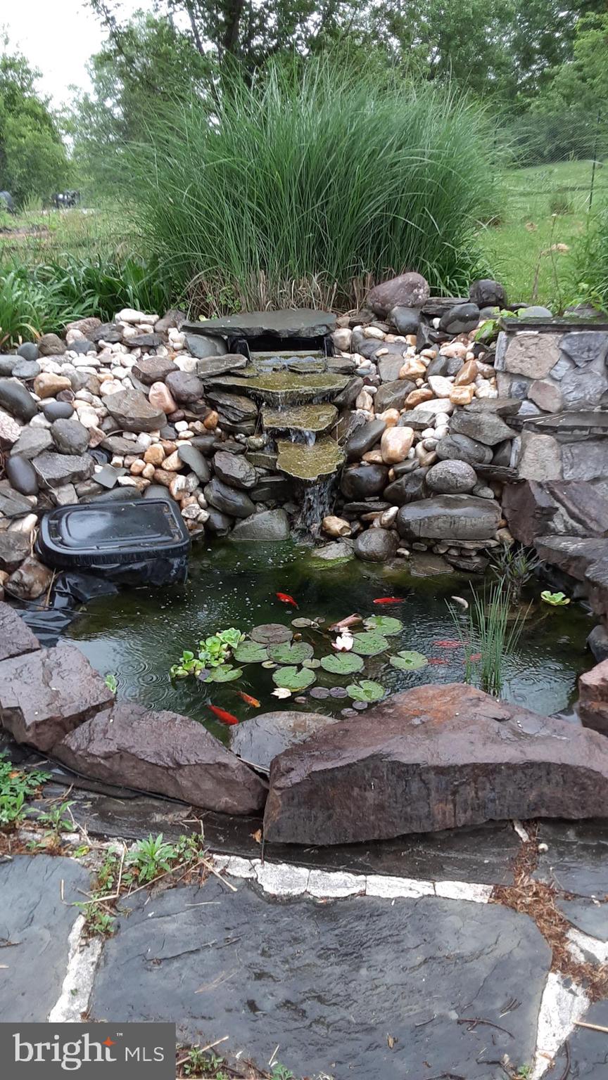 1455 Clear View Road Union Bridge, MD 21791 - Photo 29 of 46 Koi Pond