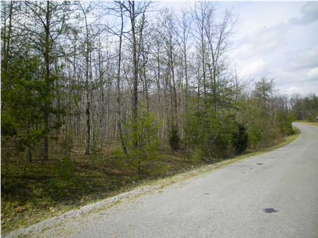 11 Woodall Point Road Sewanee, TN 37375 - Photo 1 of 1 Primary Photo