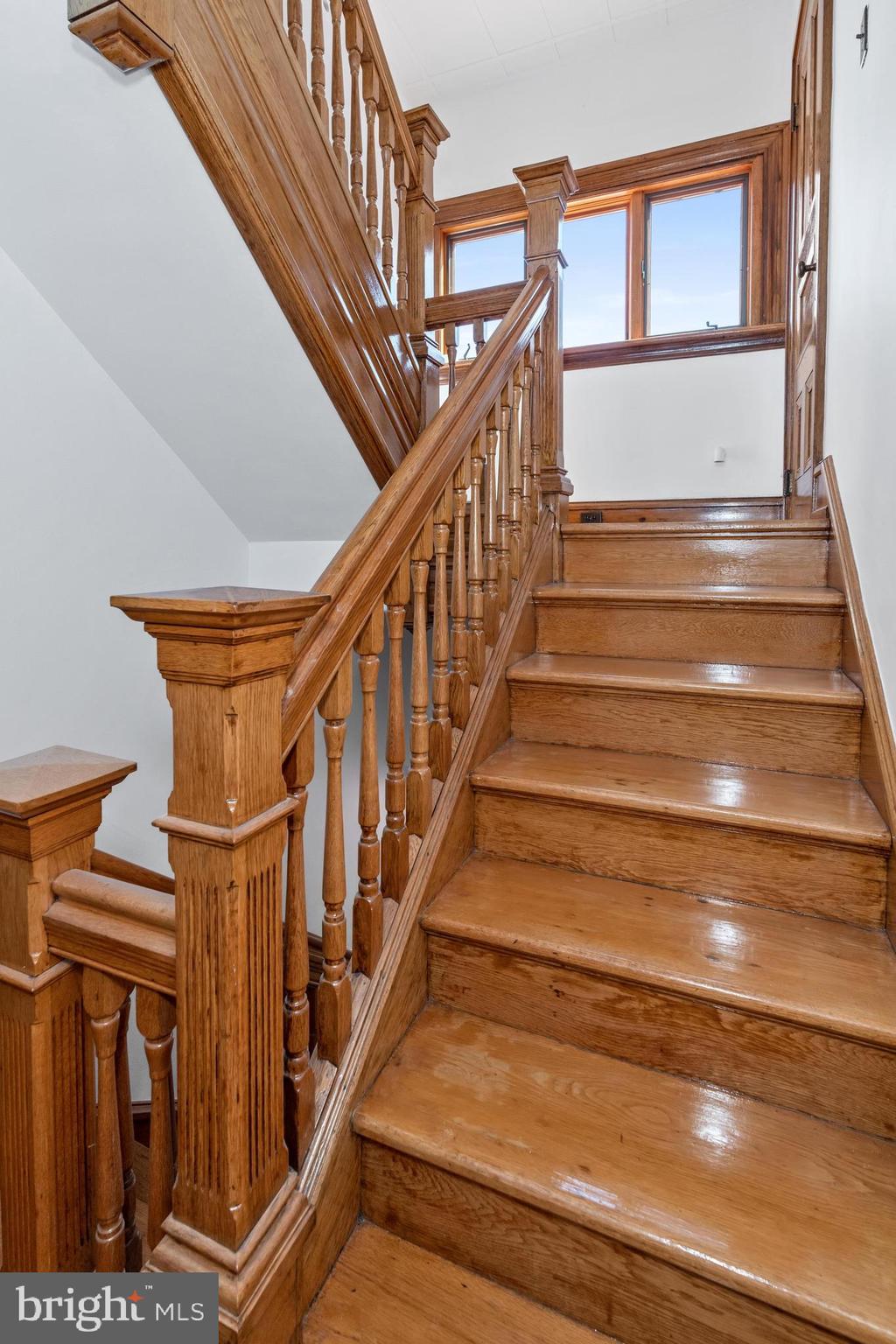 1600 Belts Road Middletown, DE 19709 - Photo 24 of 43 Leading to tower, all chestnut