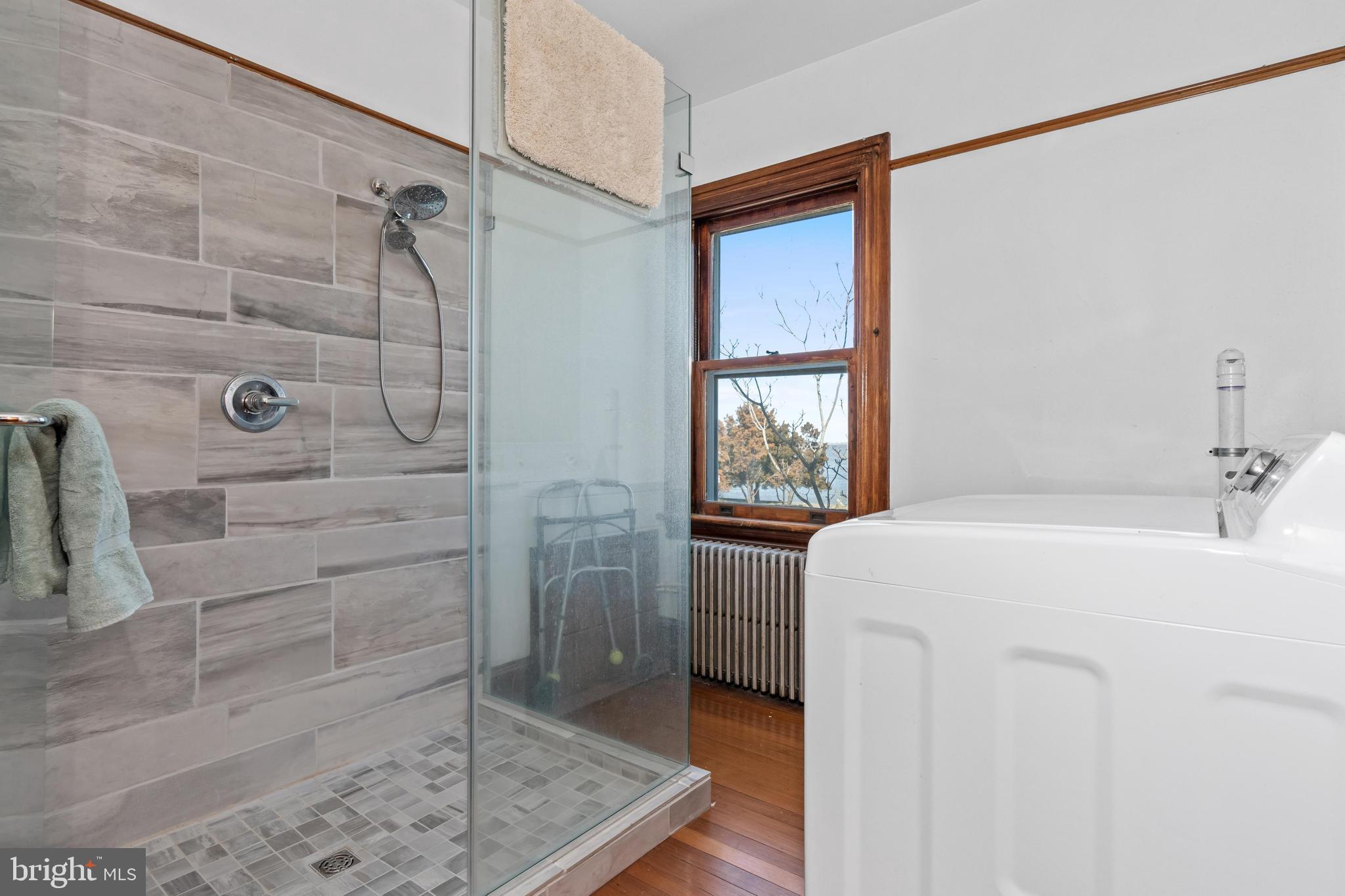 1600 Belts Road Middletown, DE 19709 - Photo 28 of 43 Large walk in shower