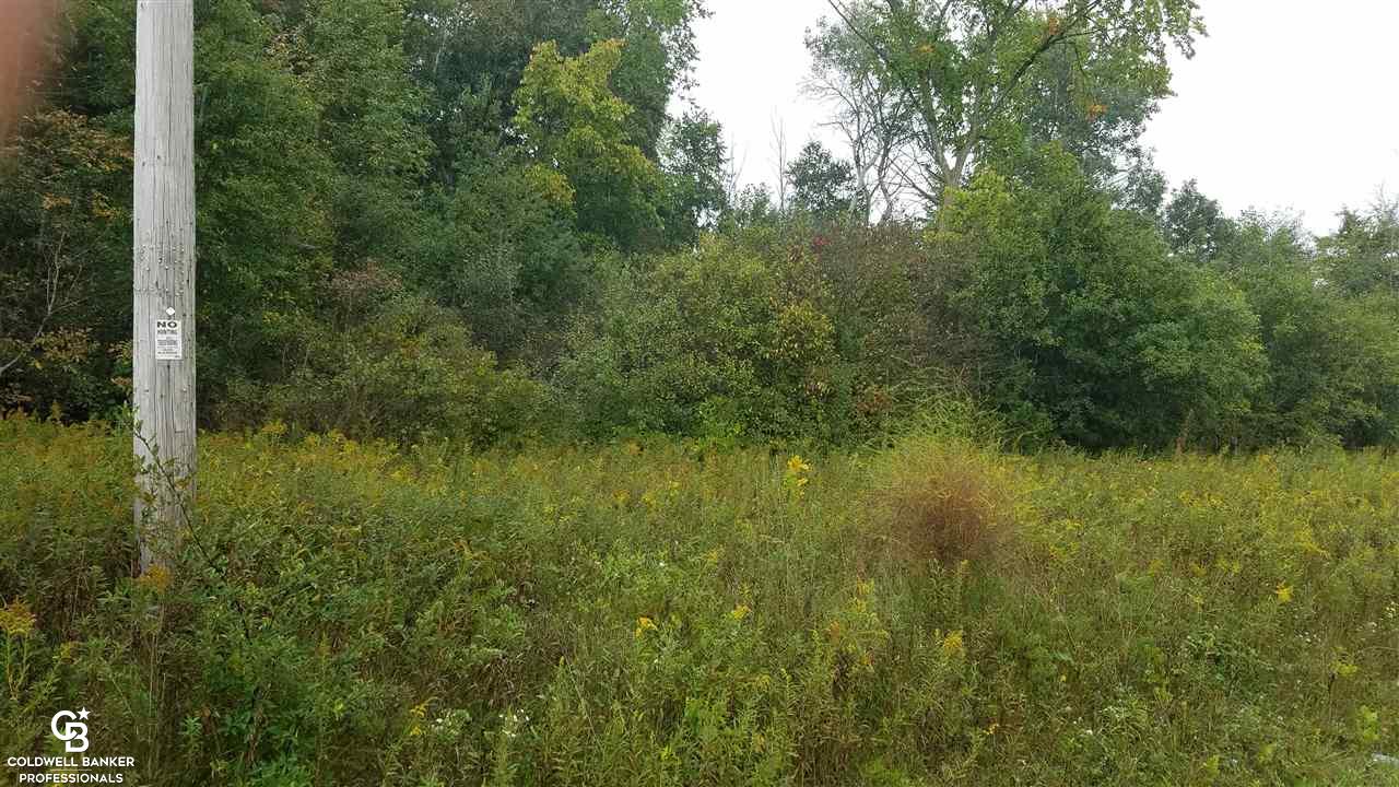 0 Jorden Road Yale, MI 48097 - Photo 1 of 7