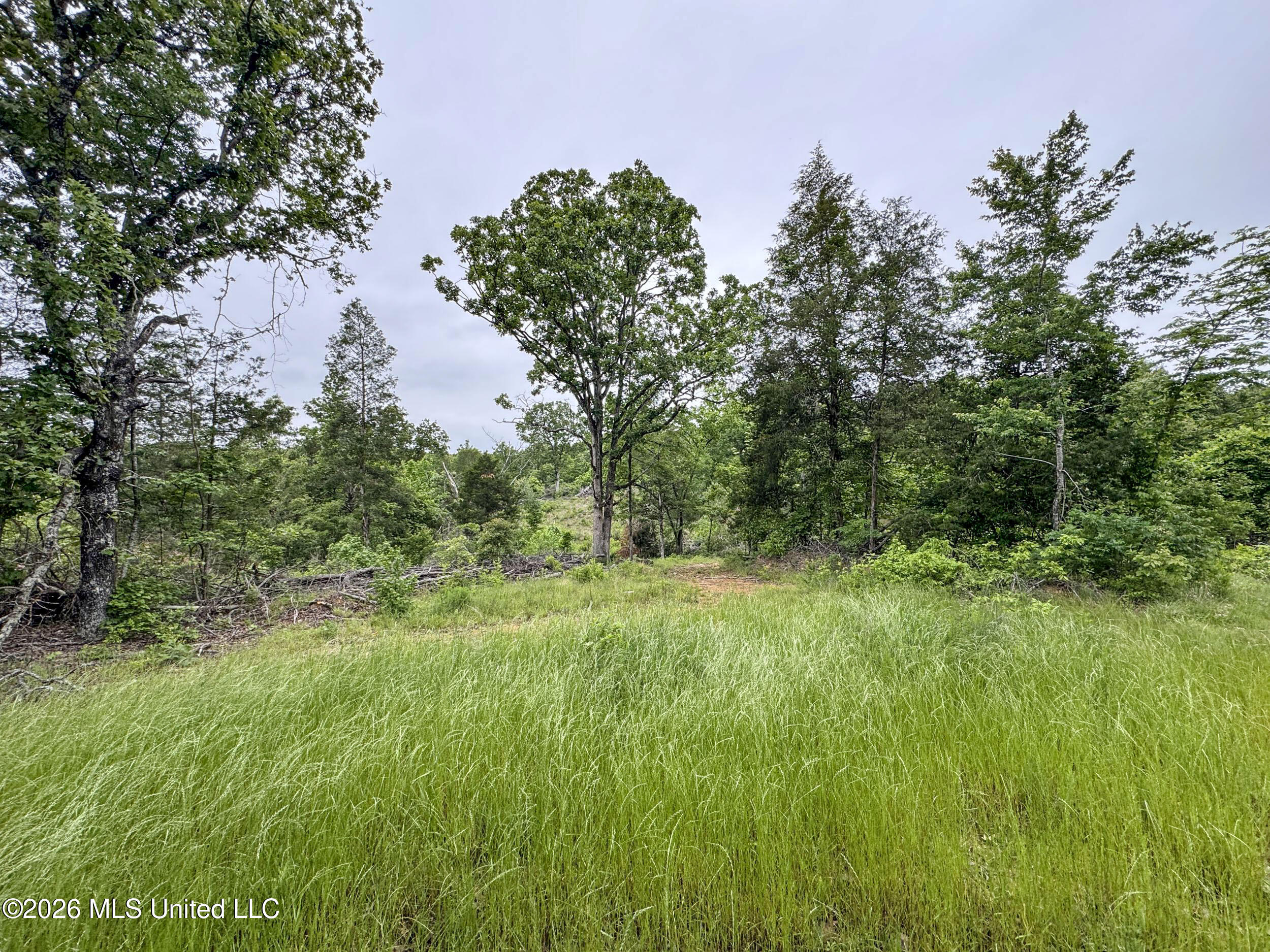 Wayne Massie Road Como, MS 38619 - Photo 94 of 184 5cdtbs25