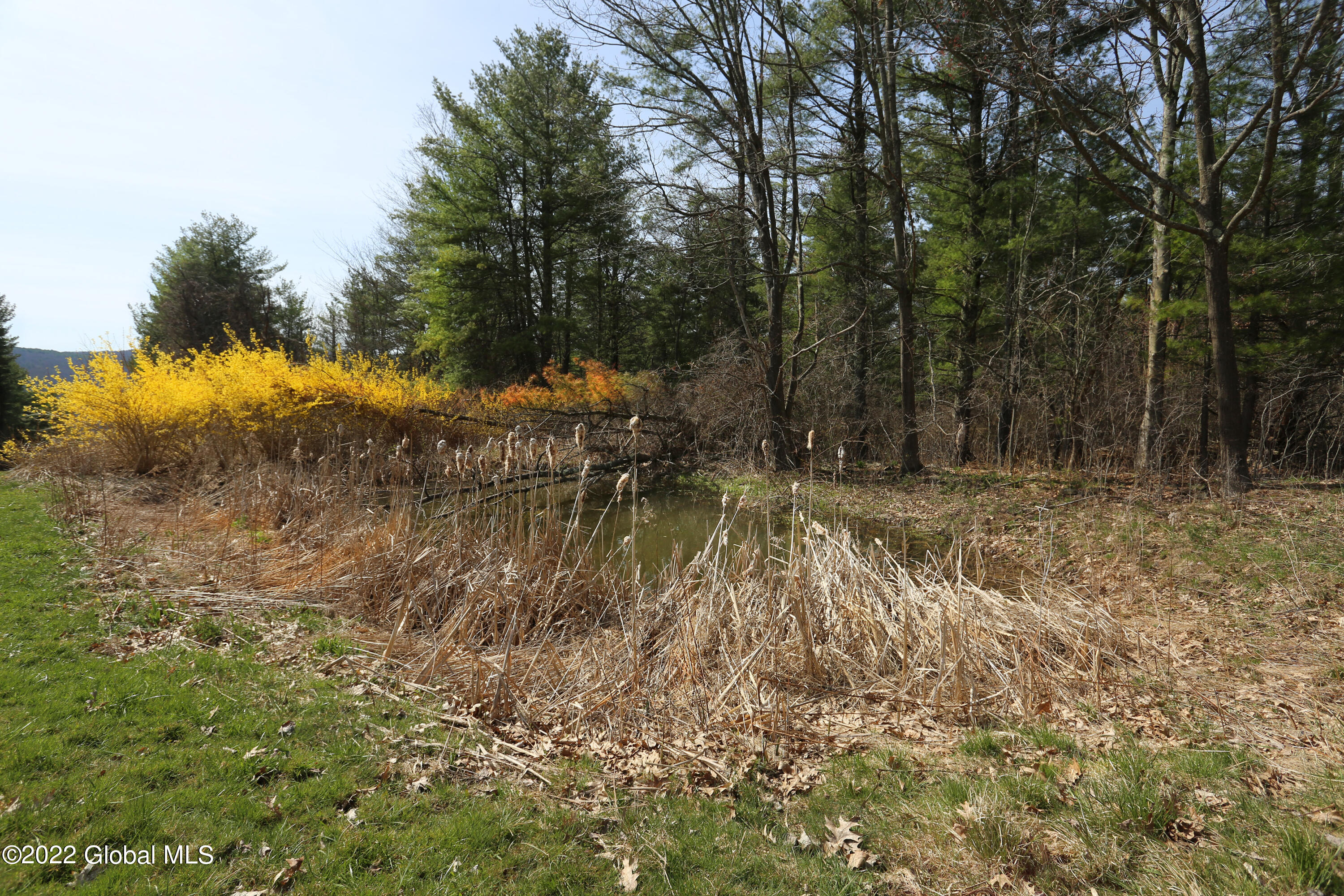 205 Travis Hill Road Rensselaerville, NY 12469 - Photo 31 of 63 2H6A2788 - Copy