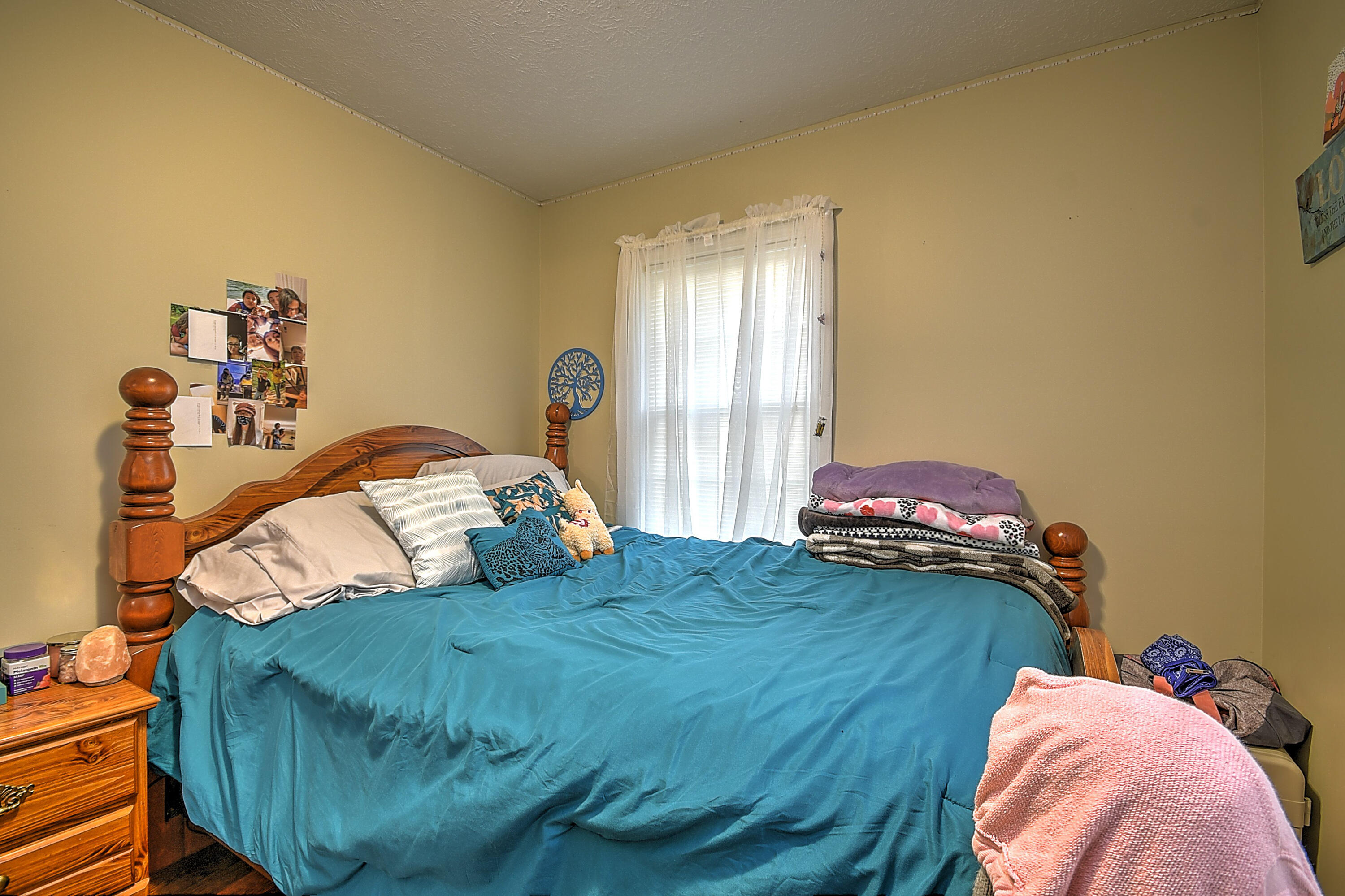 390 Peters Hollow Road Elizabethton, TN 37643 - Photo 24 of 29 Peters Hollow-23