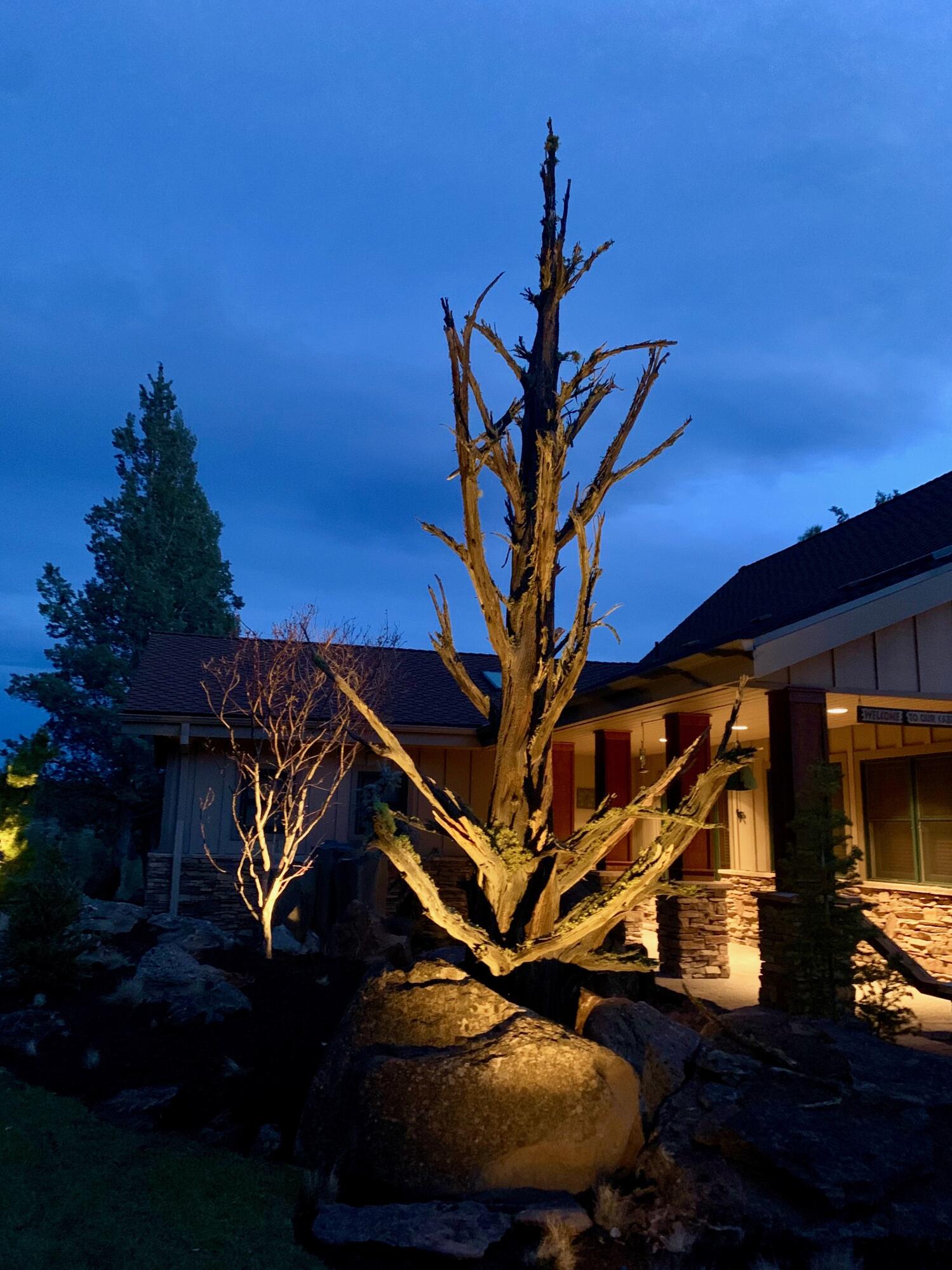 16711 Fair Mile Road Sisters, OR 97759 - Photo 60 of 61 Branch tree at dusk 2