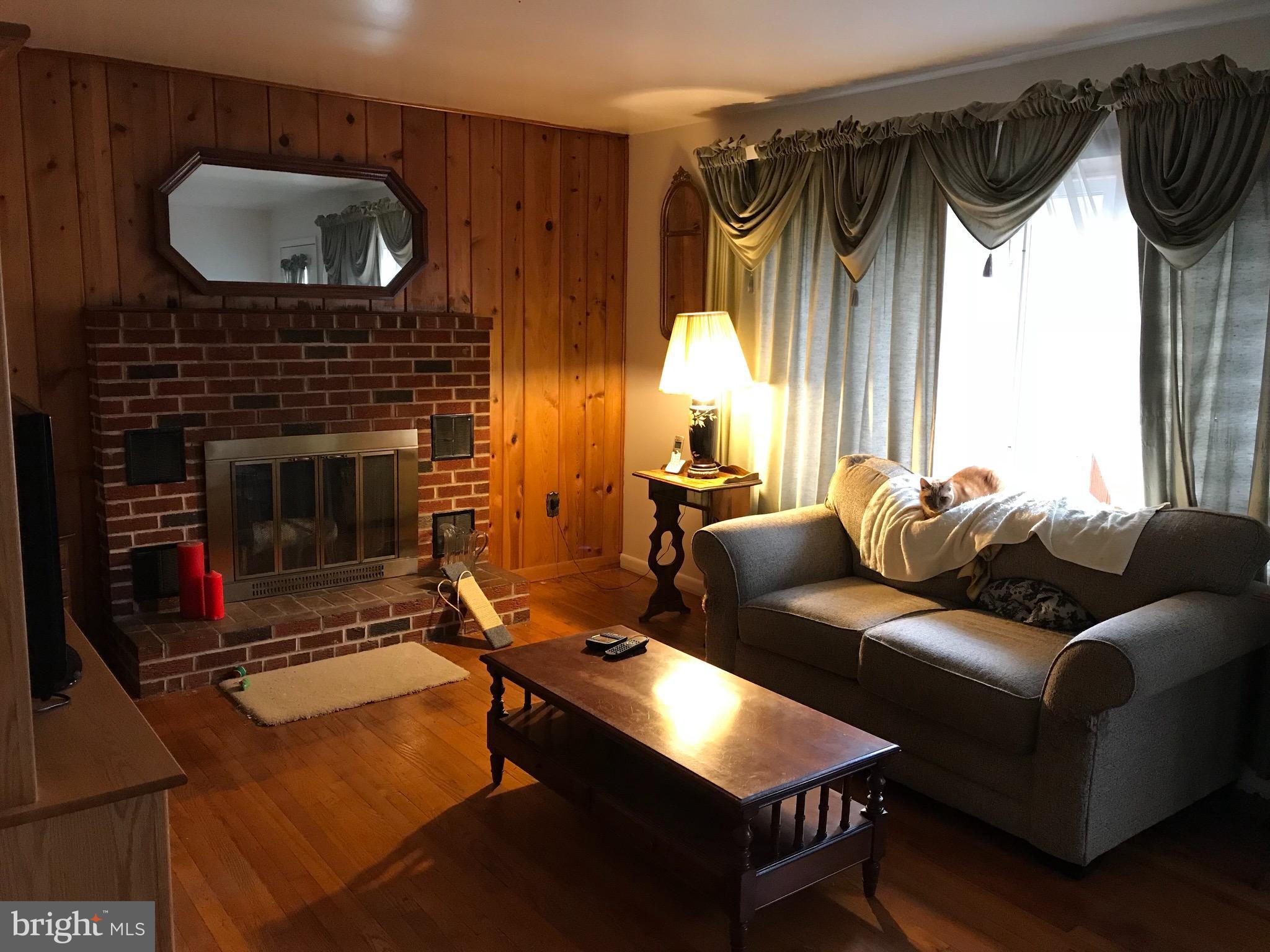 148 Maloney Road Elkton, MD 21921 - Photo 2 of 10 Living Room with wood burning fireplace