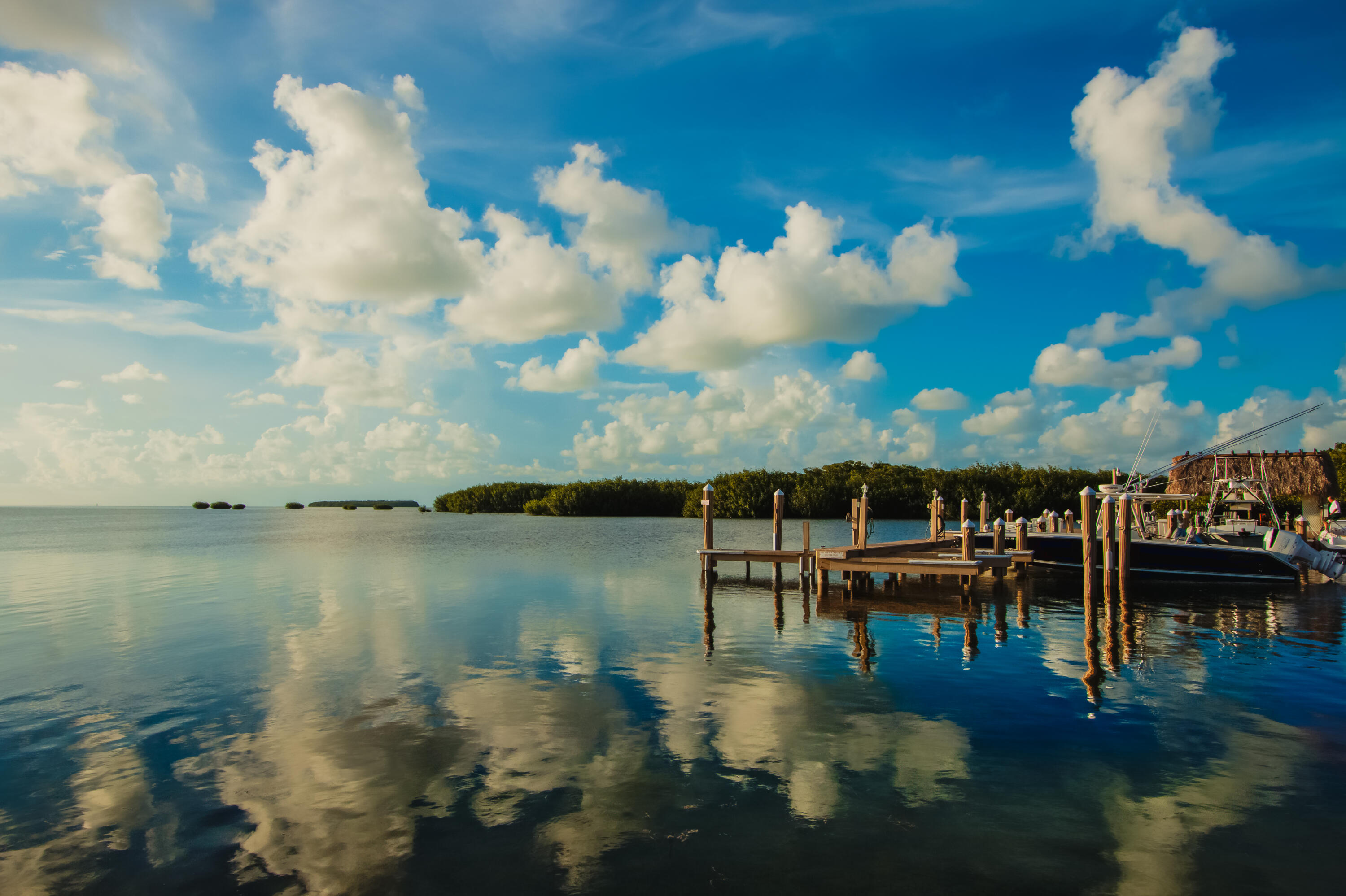94220 Overseas Highway, Unit 5E Tavernier, FL 33037 - Photo 62 of 77 FL Bay