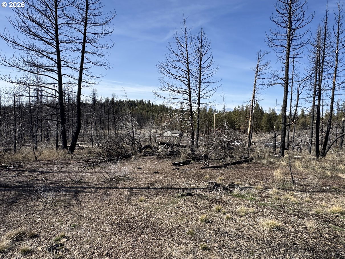 Hummingbird Drive, Unit 1 Bonanza, OR 97623 - Photo 26 of 38