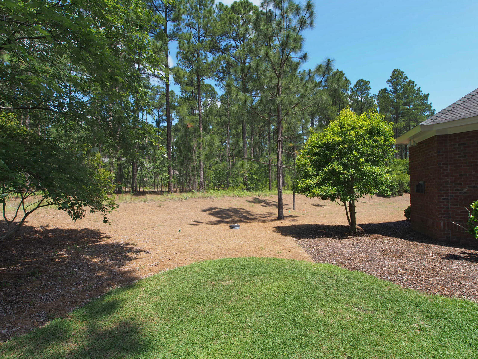 13 Masters Ridge Place Southern Pines, NC 28387 - Photo 36 of 40 yard3
