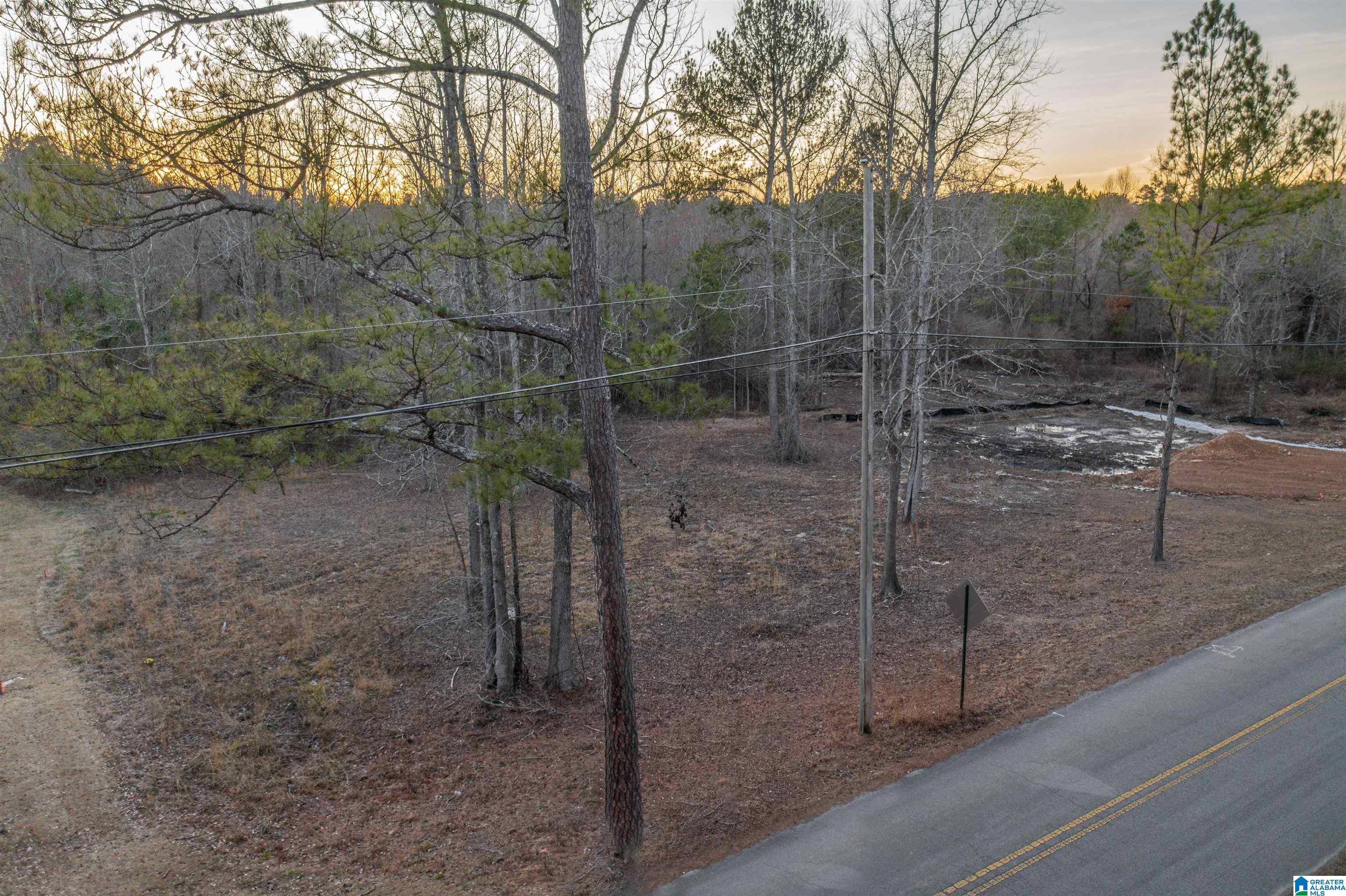 1845 Reads Mill Road, Unit 1 Wellington, AL 36279 - Photo 3 of 11