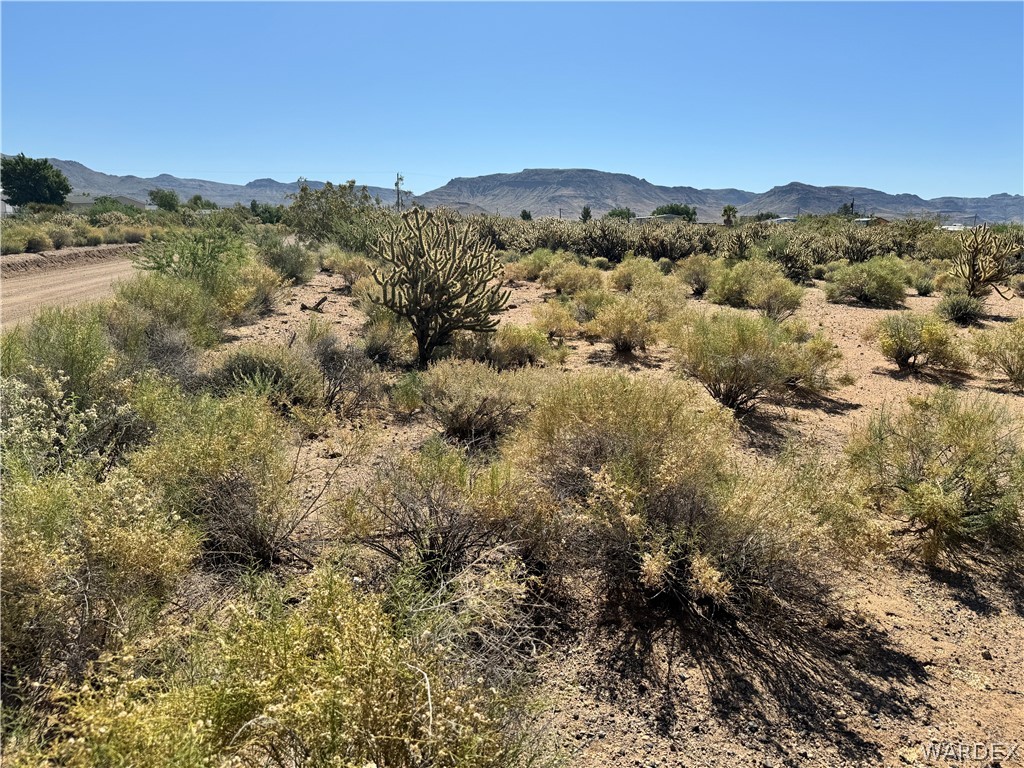 Lot 12 Higley Road Golden Valley, AZ 86413 - Photo 3 of 13 Gallery Image 3