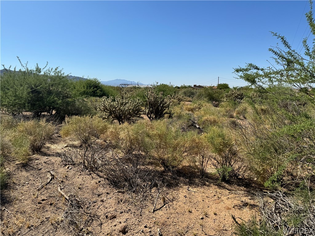 Lot 12 Higley Road Golden Valley, AZ 86413 - Photo 4 of 13 Gallery Image 4