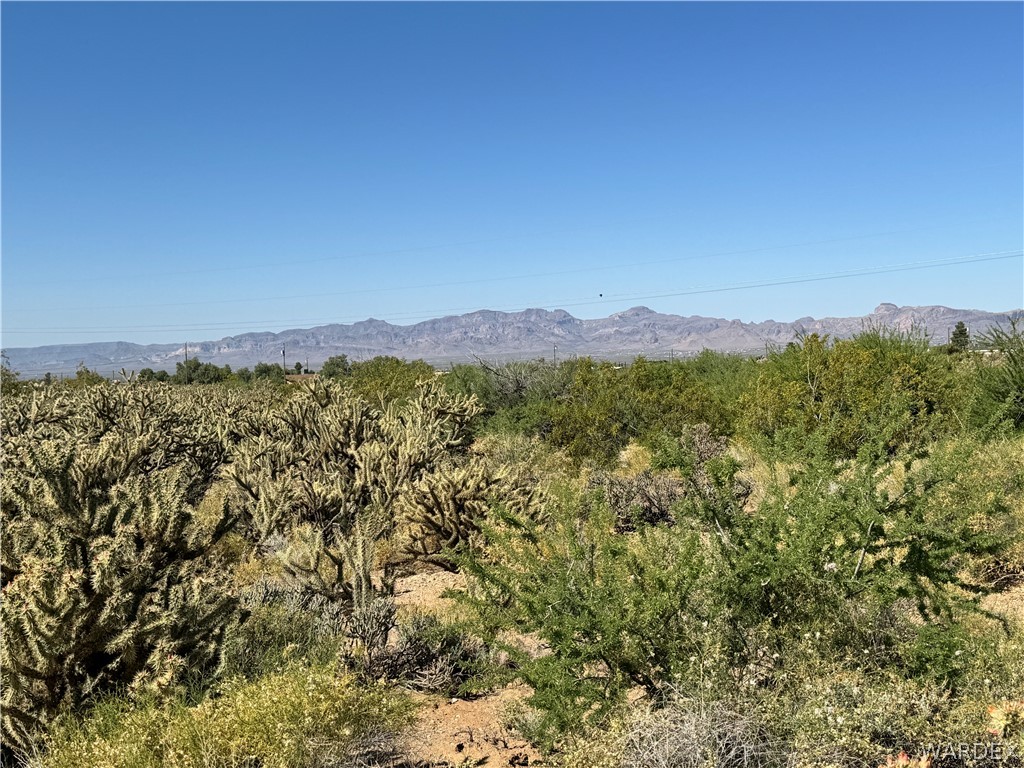 Lot 12 Higley Road Golden Valley, AZ 86413 - Photo 6 of 13 Gallery Image 6