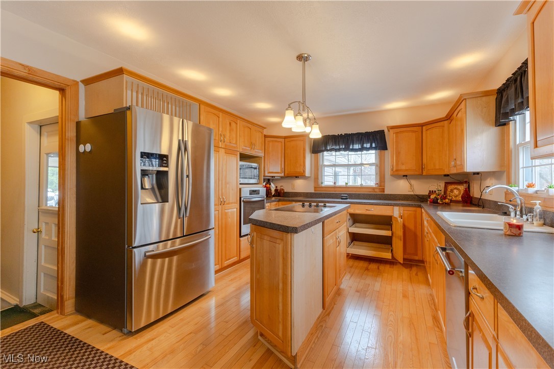 1639 South Ridge Road West Ashtabula, OH 44004 - Photo 7 of 44 Kitchen featuring a sink, a wealth of natural light, appliances with stainless steel finishes, and dark countertops