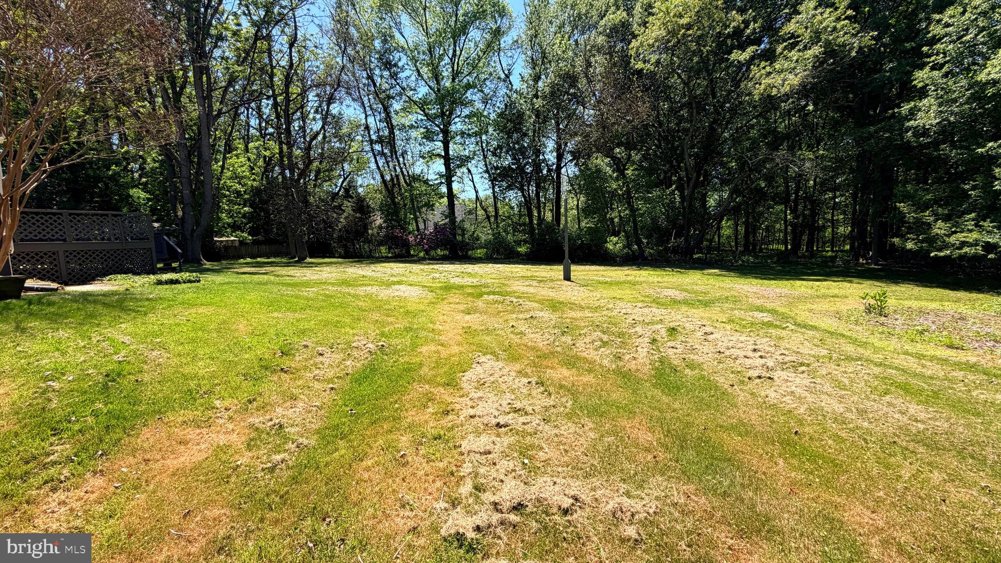 3 Richardson Road Robbinsville, NJ 08691 - Photo 26 of 39