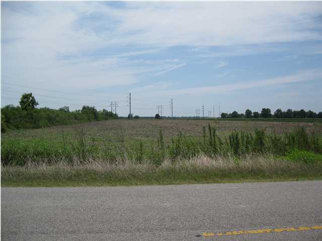 0 Wil Turner Road Rayne, LA 70578 - Photo 1 of 1 Primary Photo