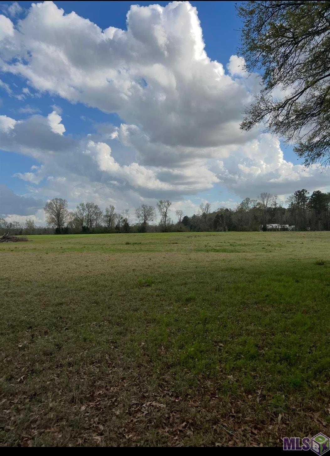 Lot 2 West T Hall Road Ethel, LA 70730 - Photo 1 of 4