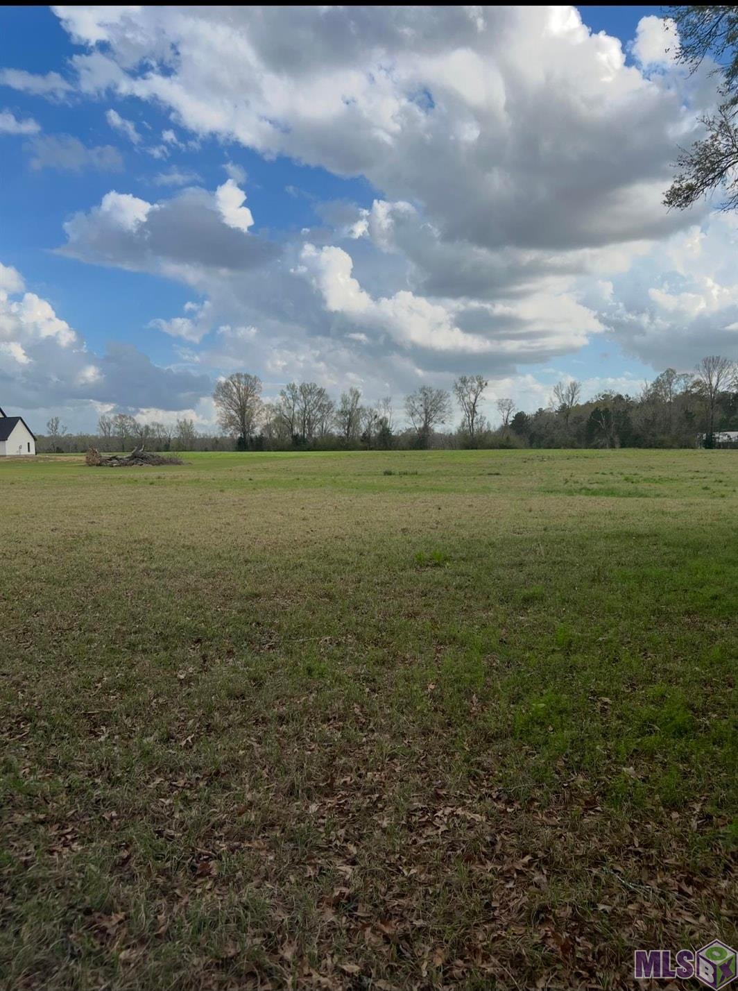 Lot 2 West T Hall Road Ethel, LA 70730 - Photo 2 of 4