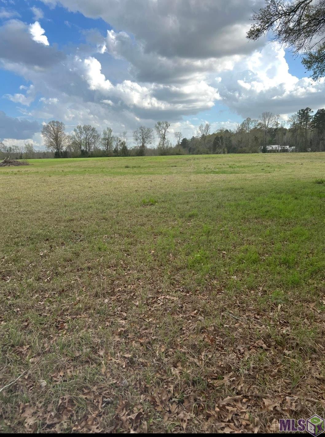 Lot 2 West T Hall Road Ethel, LA 70730 - Photo 4 of 4