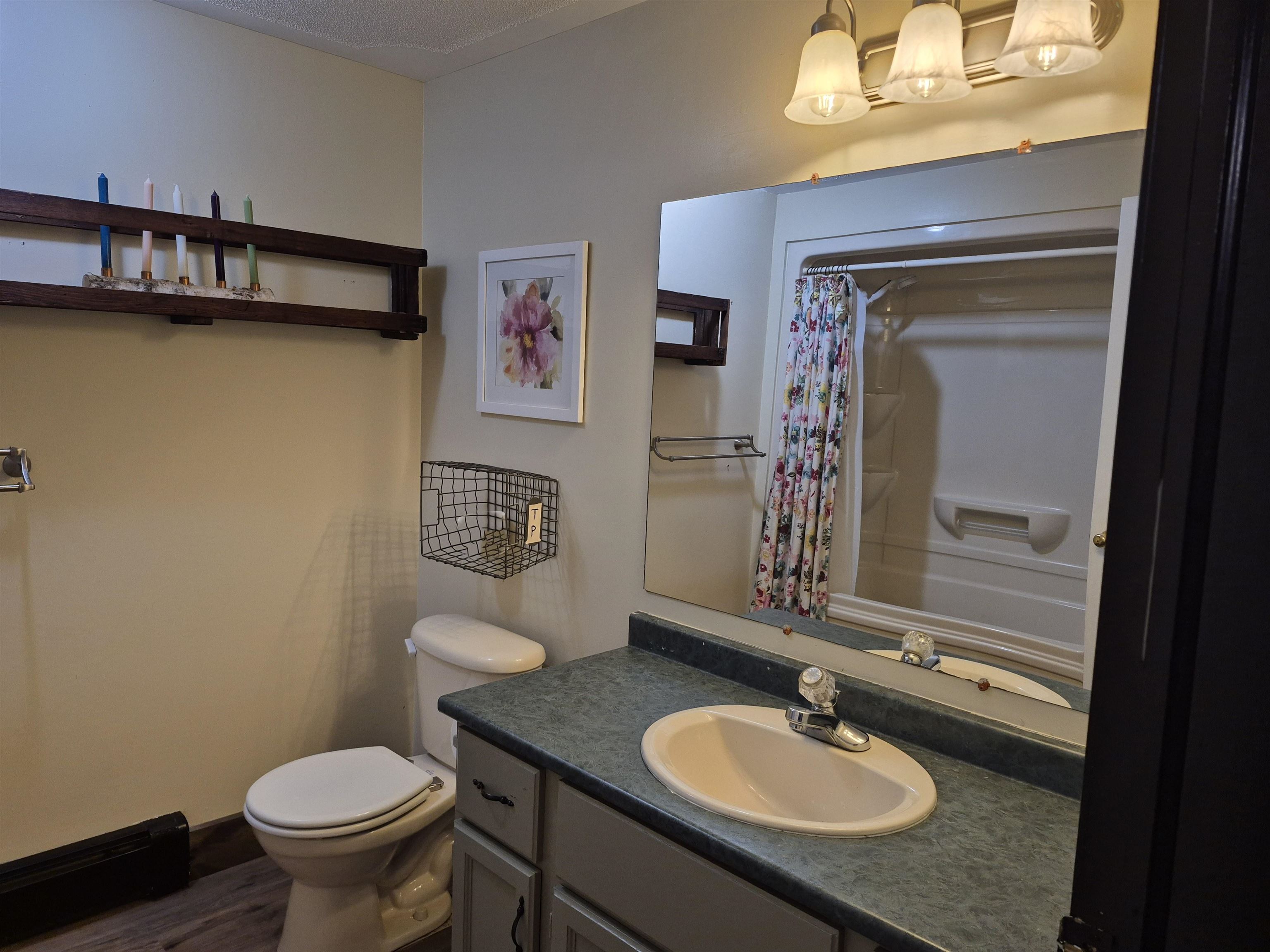 115 Moody Road Effingham, NH 03882 - Photo 15 of 40 Gallery Image 15