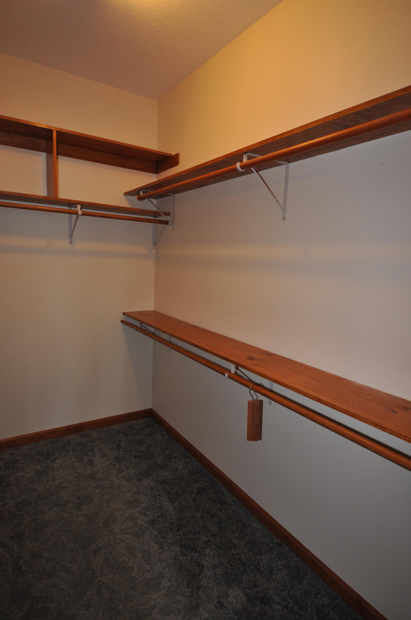 319 Kelly Ridge Road Townsend, TN 37882 - Photo 22 of 33 Master bedroom closet