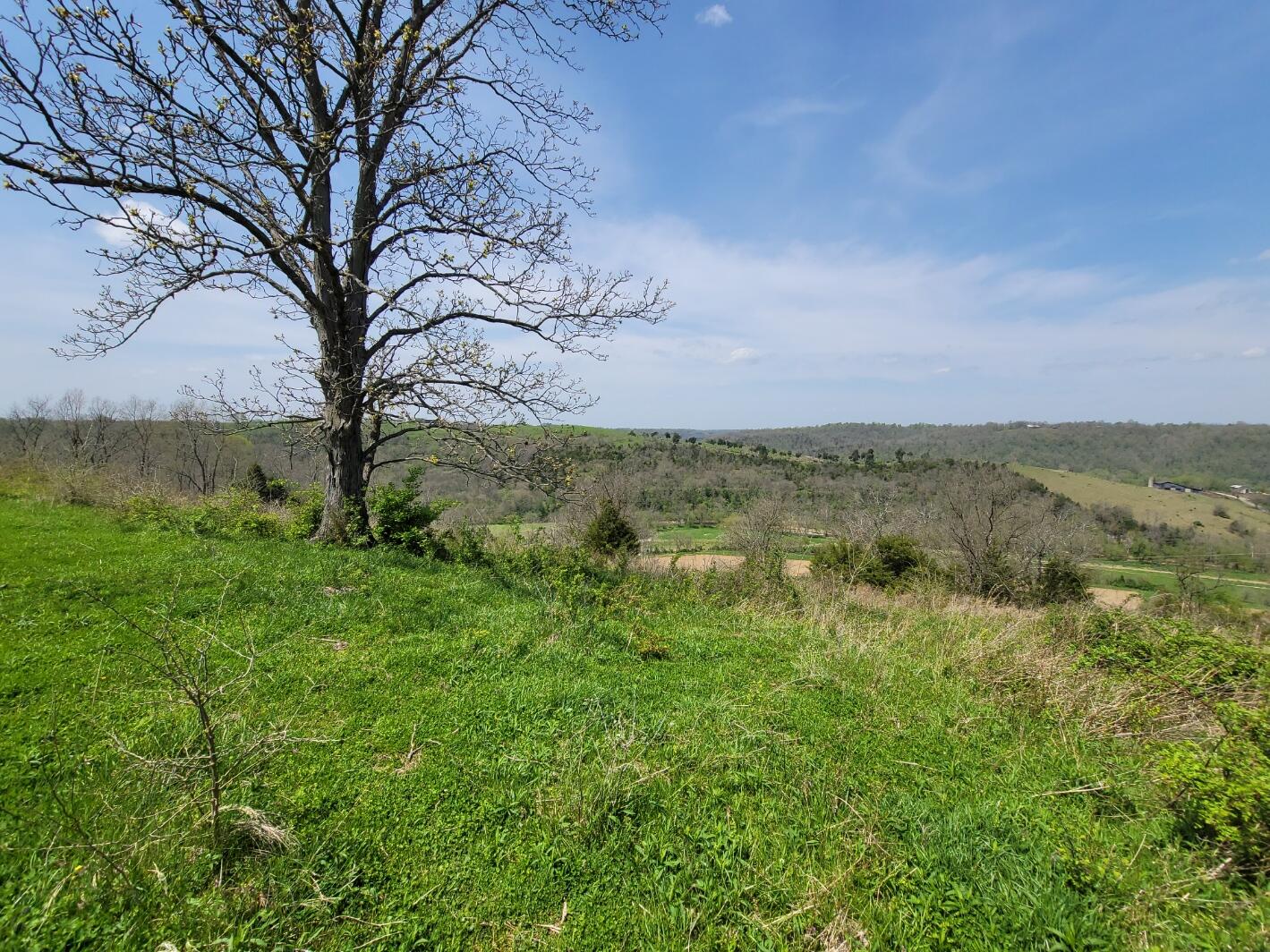 20 Herbert Grubbs Road Lancaster, KY 40444 - Photo 15 of 16 20220424_130608