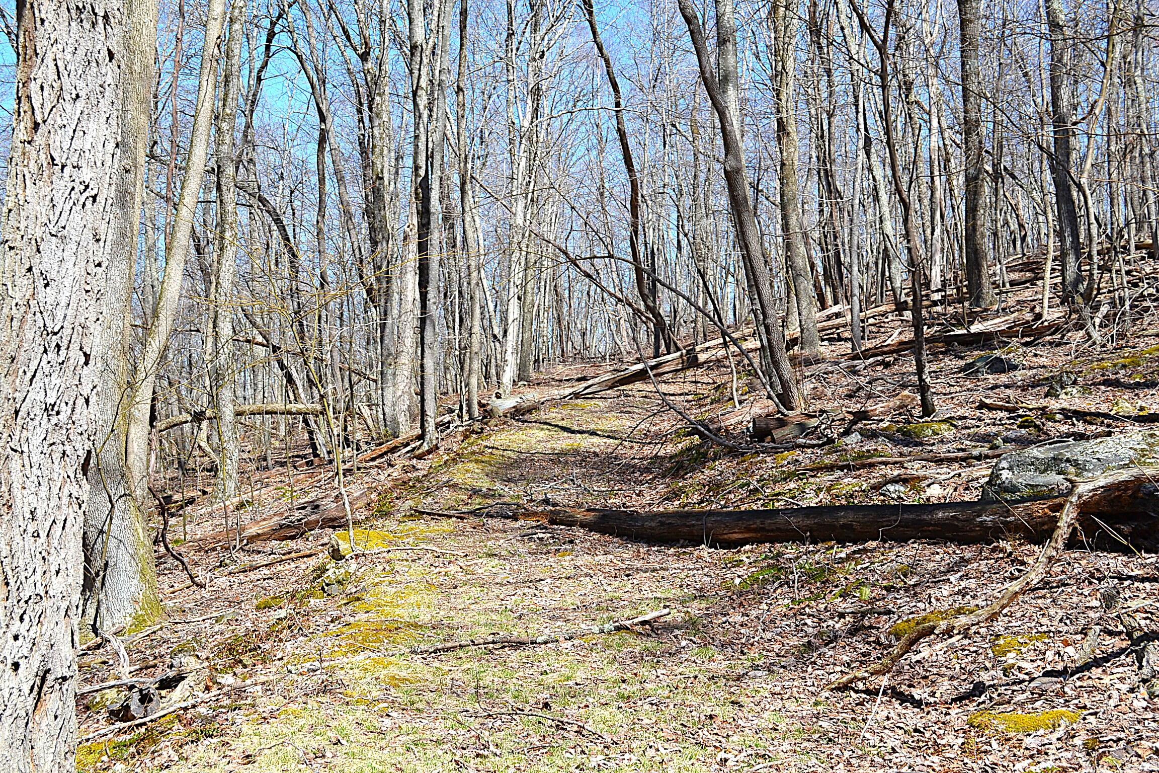 2245 Crowder Road Gap Mills, WV 24941 - Photo 25 of 41 Property Trail