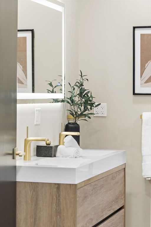 147 Sherman Street, Unit 201 Cambridge, MA 02140 - Photo 15 of 33 a close view of sink and a mirror