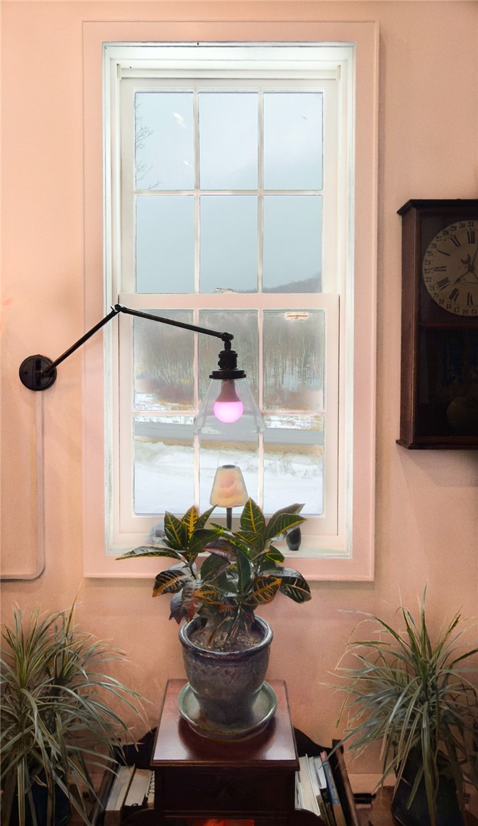 6809 East Handsome Brook Road Franklin, NY 13775 - Photo 26 of 34 Ambient Lighting
