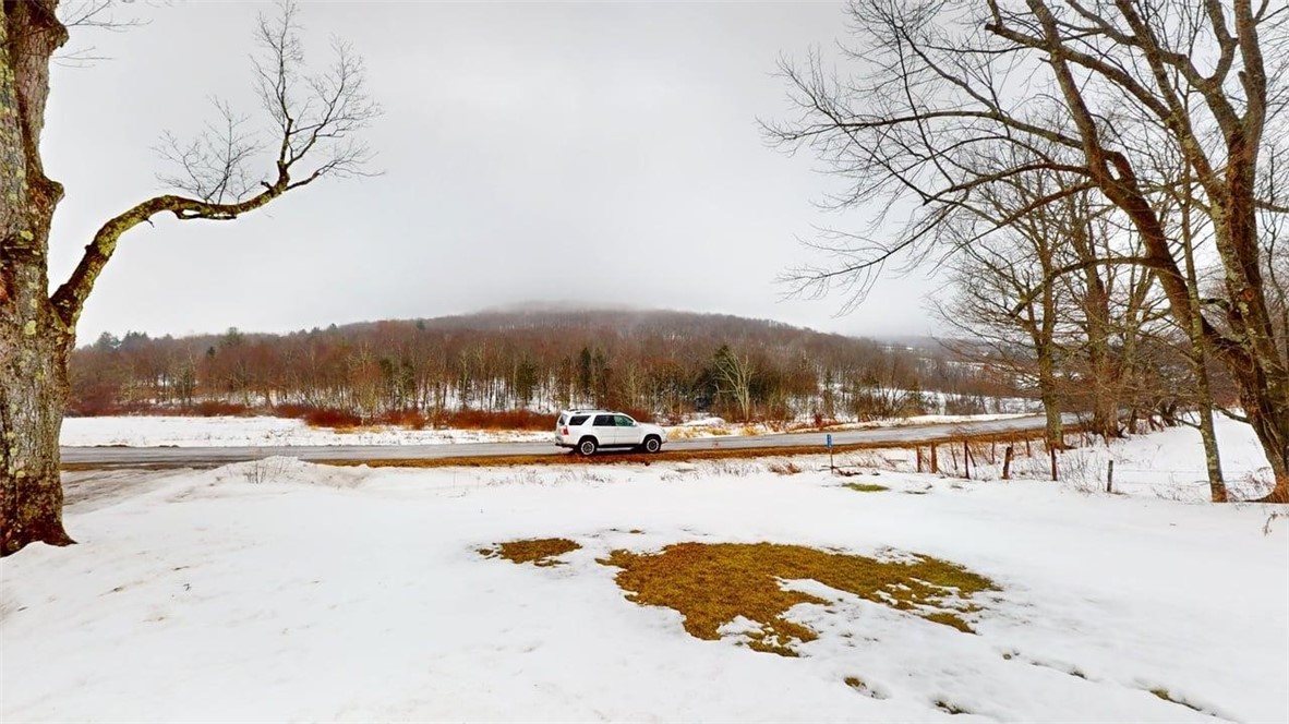 6809 East Handsome Brook Road Franklin, NY 13775 - Photo 27 of 34 Pastoral Views